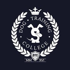 Eco-Friendly Franchises